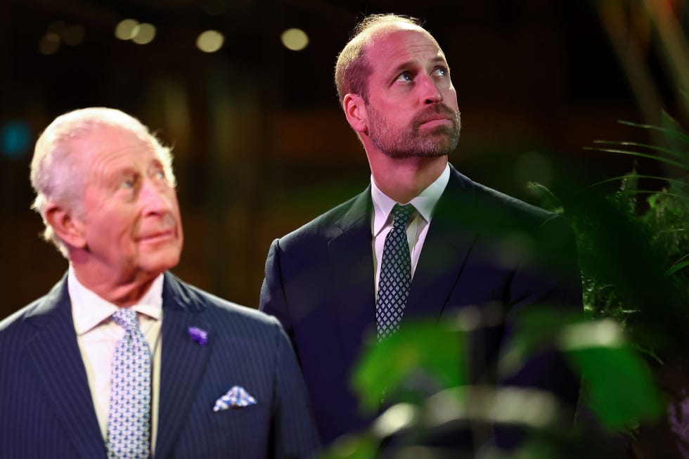 royal experts are "deeply unsettled" by prince william’s drastic plans for the monarchy’s future