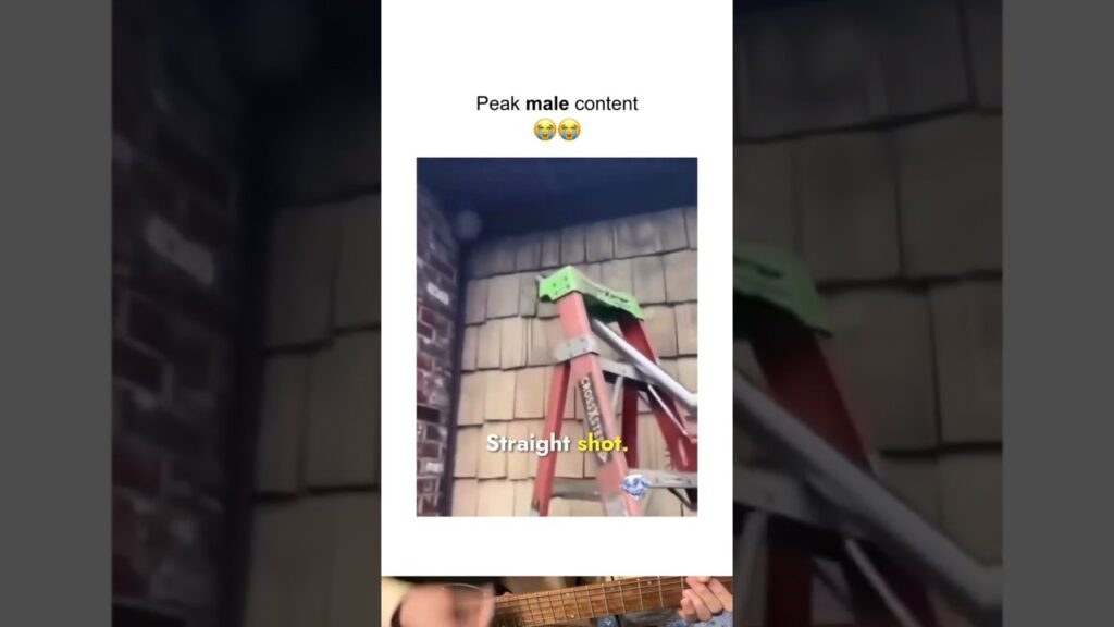 He Tried The Wildest Ladder Hack Ever! #shorts