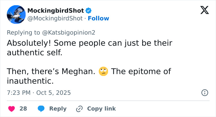 Tweet criticizing Meghan Markle’s video, highlighting Lana Del Rey’s husband praised for being classier amid backlash.