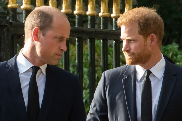 Prince William, Prince Harry