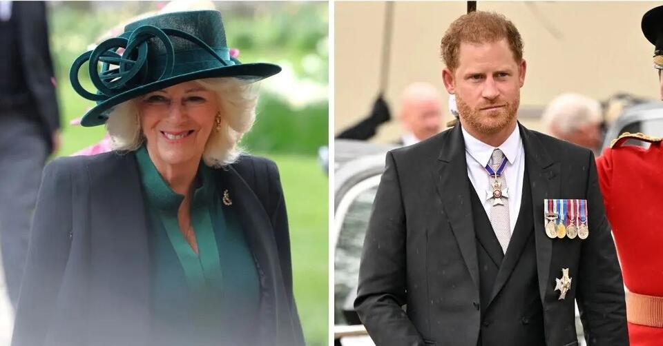 EXCLUSIVE: Prince Harry's Brutal Claim About Queen Camilla Slammed as 'LIES' By Ex-Royal Butler