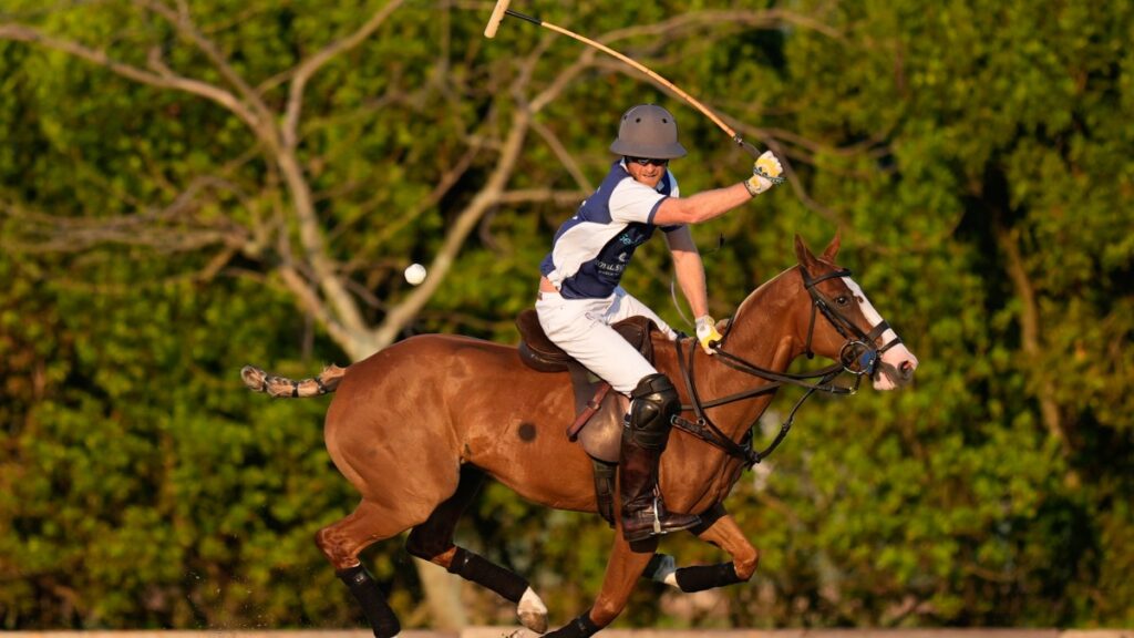 Sentebale drops polo charity matches after Prince Harry row