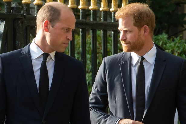 Princes William and Harry 