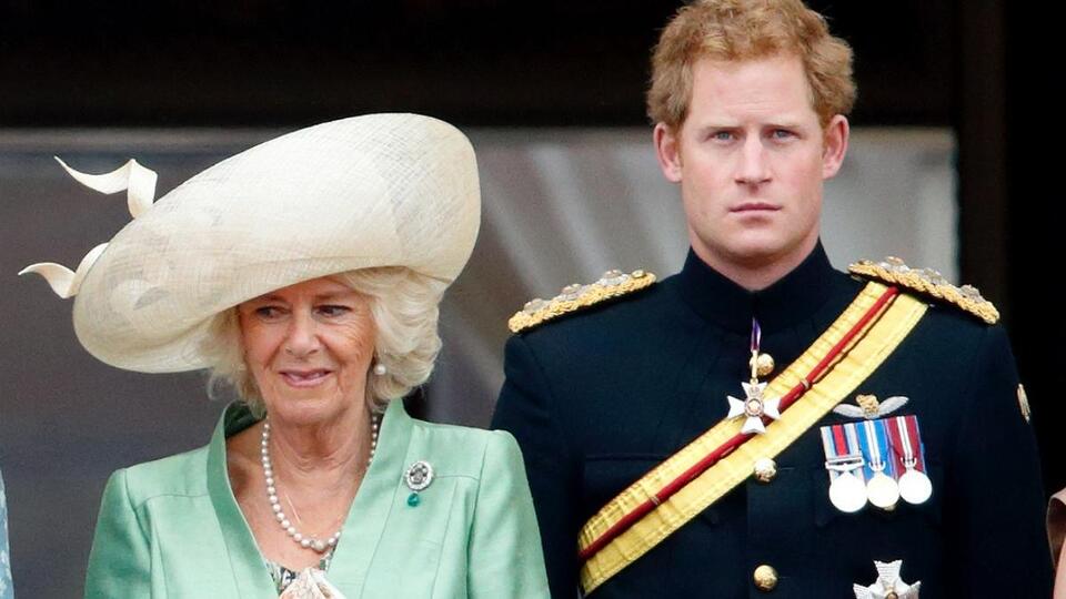 Queen Scheming to Separate Prince Harry’s Family From the King — Source
