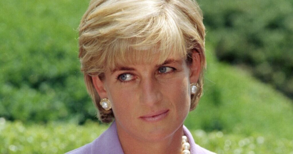 Princess Diana's hairdresser sets record straight on hurtful Prince Harry rumour - Royals - News