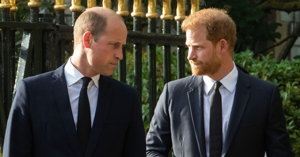 Prince Harry and William could be brought together for this one thing - Celebrity News - Entertainment