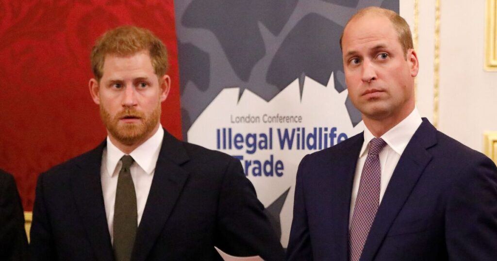 Harry and William reunion verdict after years of fighting - Celebrity News - Entertainment