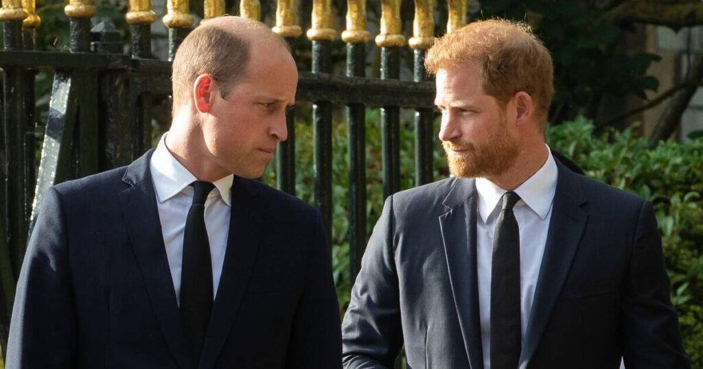 Prince William's swipe at Harry with thinly veiled 'mixed bag' comment - Royals - News