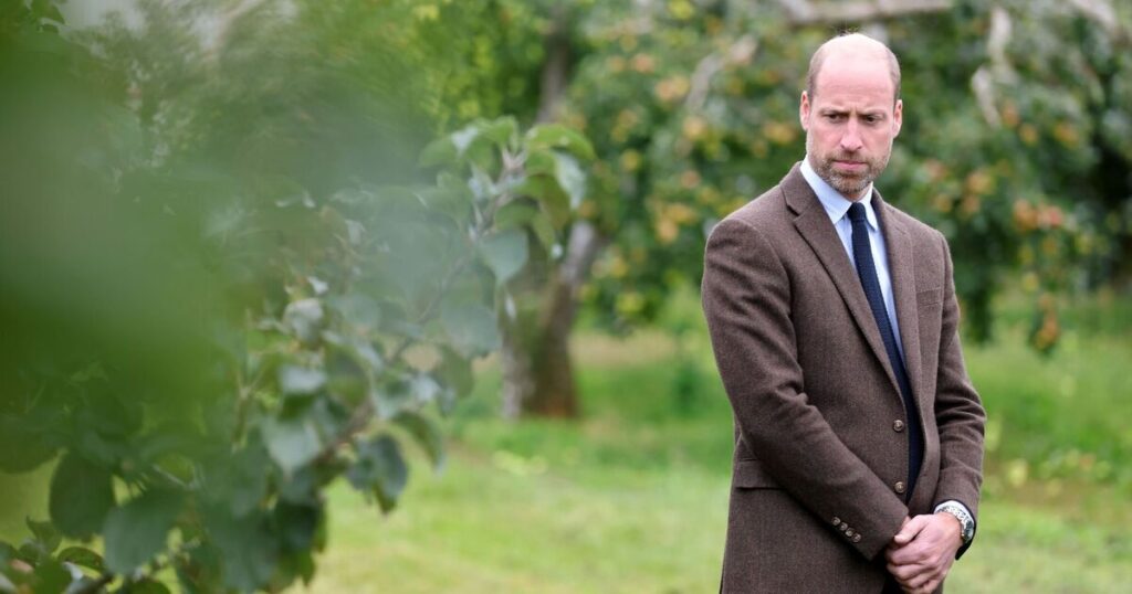 Prince William's response to Meghan Markle's claims show 'molten anger' - Royals - News