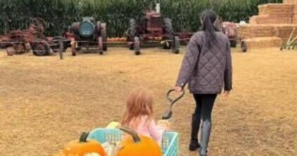 Prince Harry and Meghan take Archie and Lillibet to pumpkin patch - Celebrity News - Entertainment