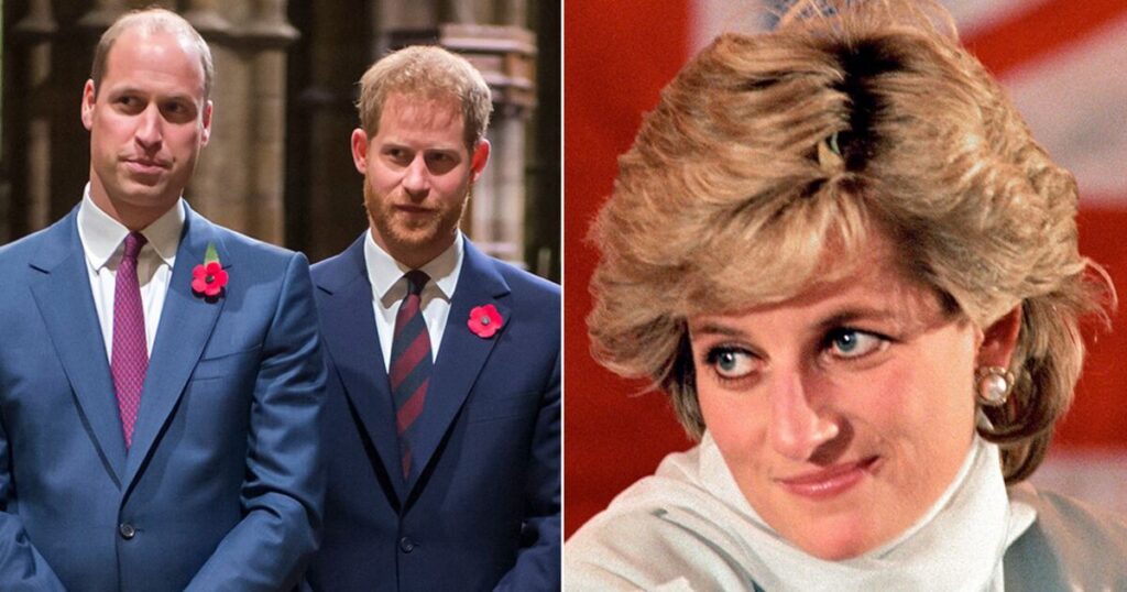 Harry and William 'heartsick' over Princess Diana news - Celebrity News - Entertainment
