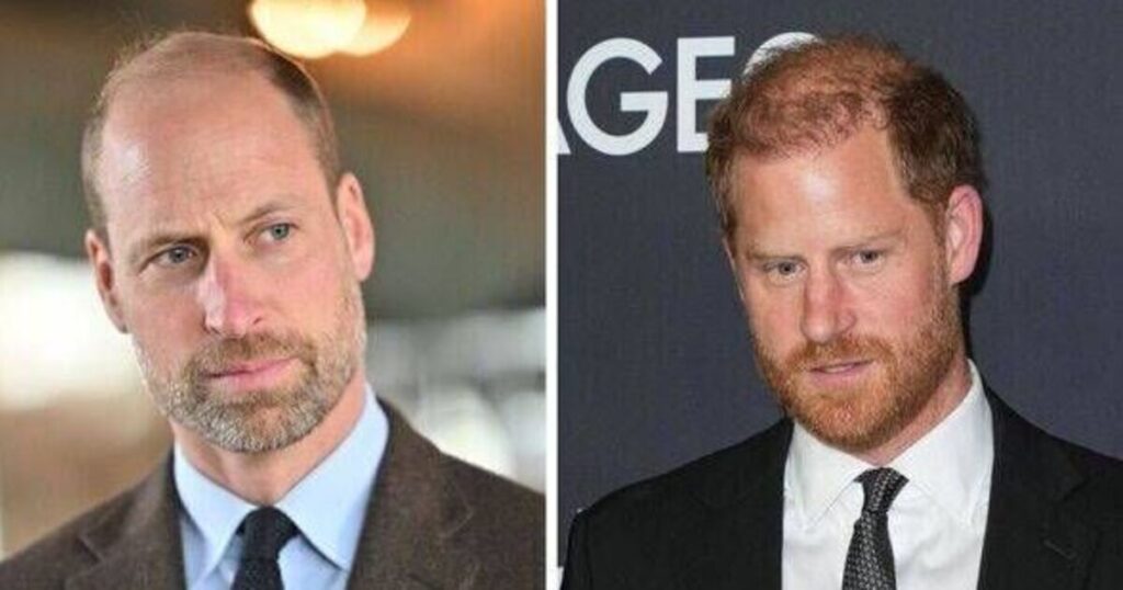 Prince Harry 'unites' with William on one issue despite feud - Celebrity News - Entertainment