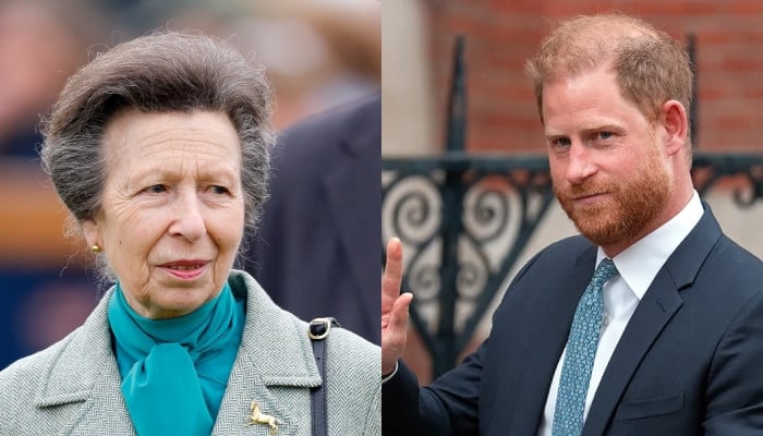Princess Anne surprises Ukraine with heartfelt tribute after Prince Harry’s visit Princess Anne surprises Ukraine with heartfelt tribute after Prince Harry’s visit