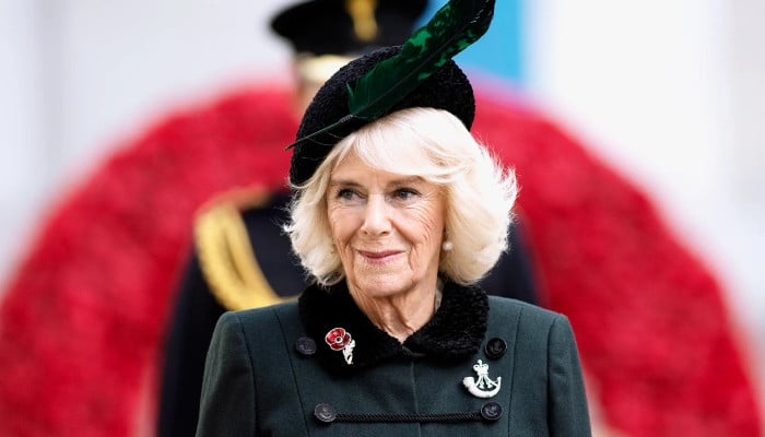 Queen Camilla turns heads with bold style at literary festival Queen Camilla turns heads with bold style at literary festival