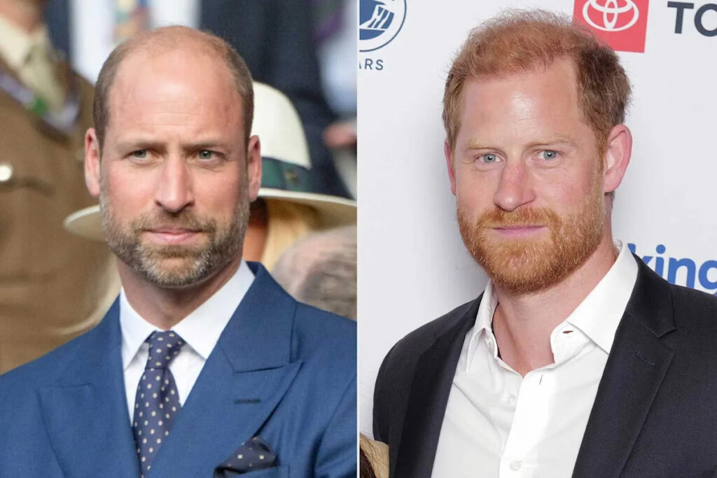 Prince William Mentions Prince Harry Just Once in TV Appearance — What It Reveals About Their Rift (Exclusive)