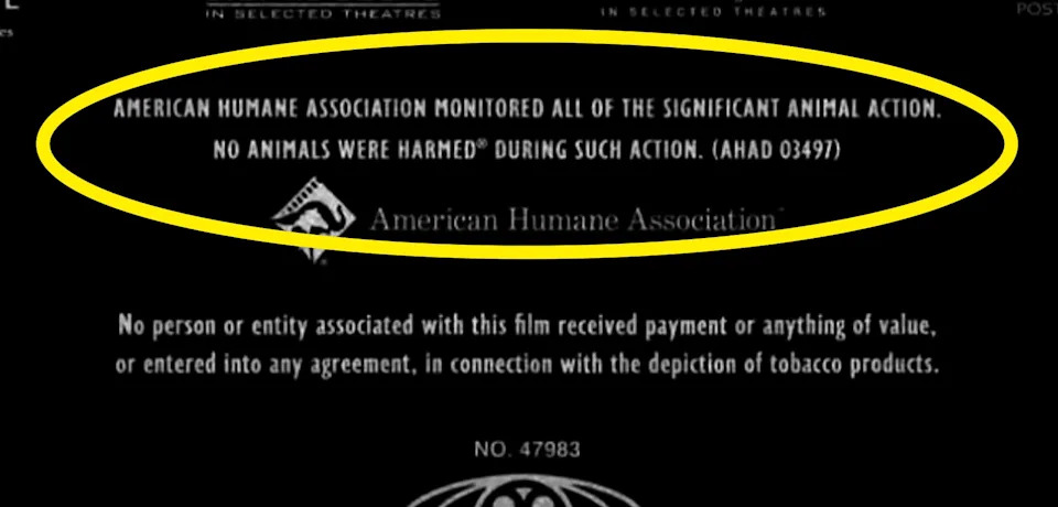 American Humane Association confirms no animals were harmed in the film's action scenes