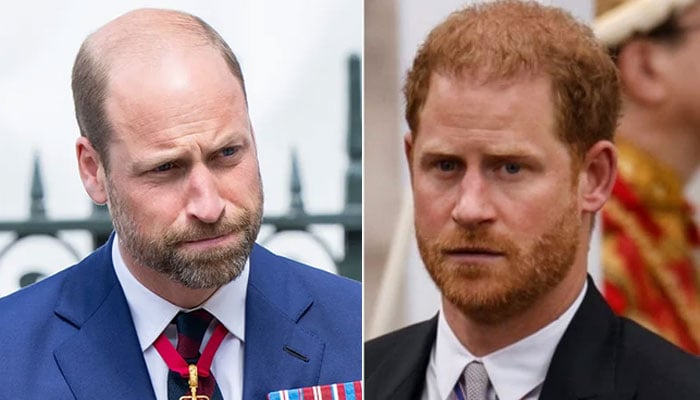 Prince William springing to wage war against his own flesh and blood