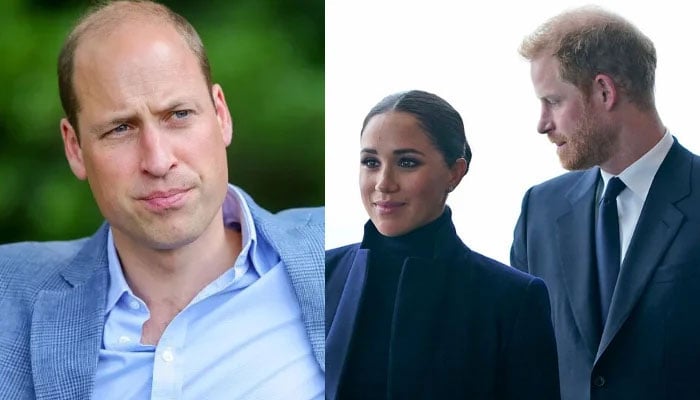 Prince Harry puts Meghan Markle aside for potential reunion with William