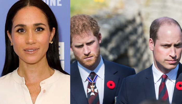 Meghan Markle disrespected Princess Dianas memory with major move