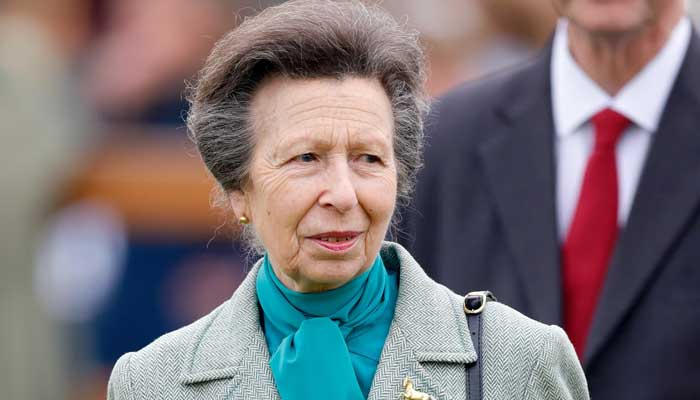 Princess Royal: File photo