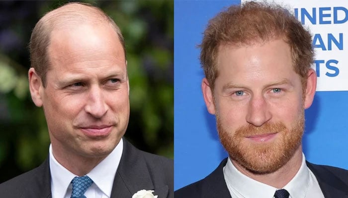 Prince William plans to strip Harry, Meghan of royal titles?