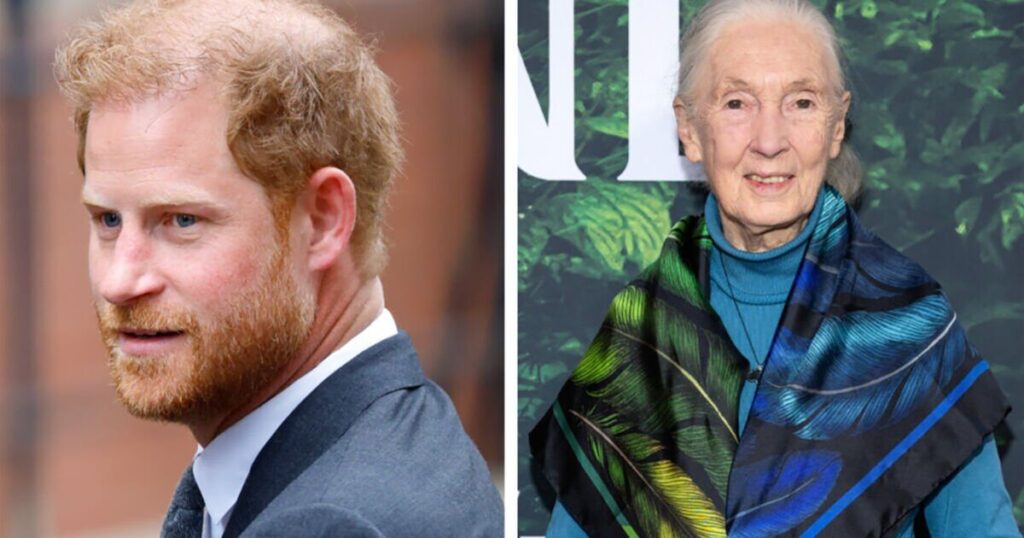 Prince Harry's cutting 7-word response to Archie comment | Royal | News