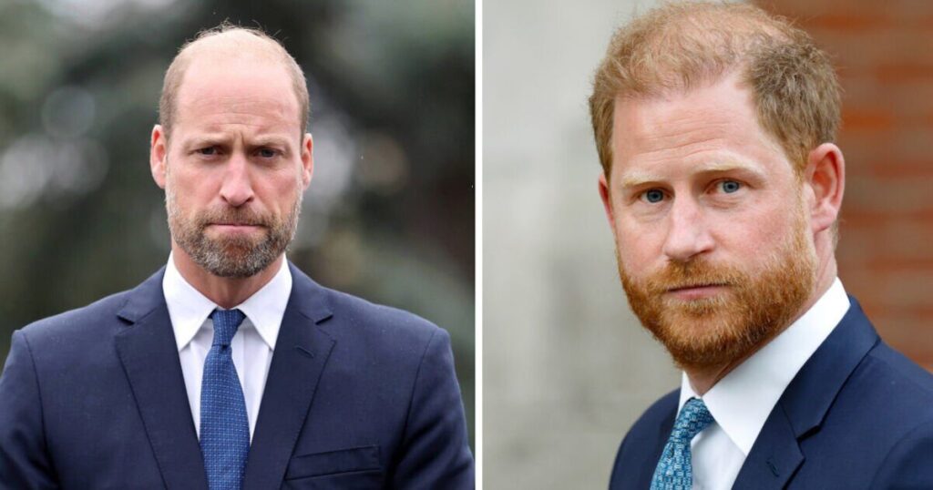 Prince William drops clue about state of his rift with Prince Harry | Royal | News