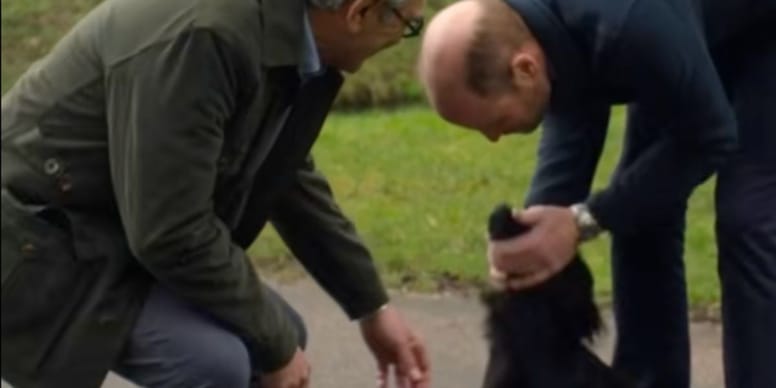 Prince William's dog Orla steals the show during TV interview