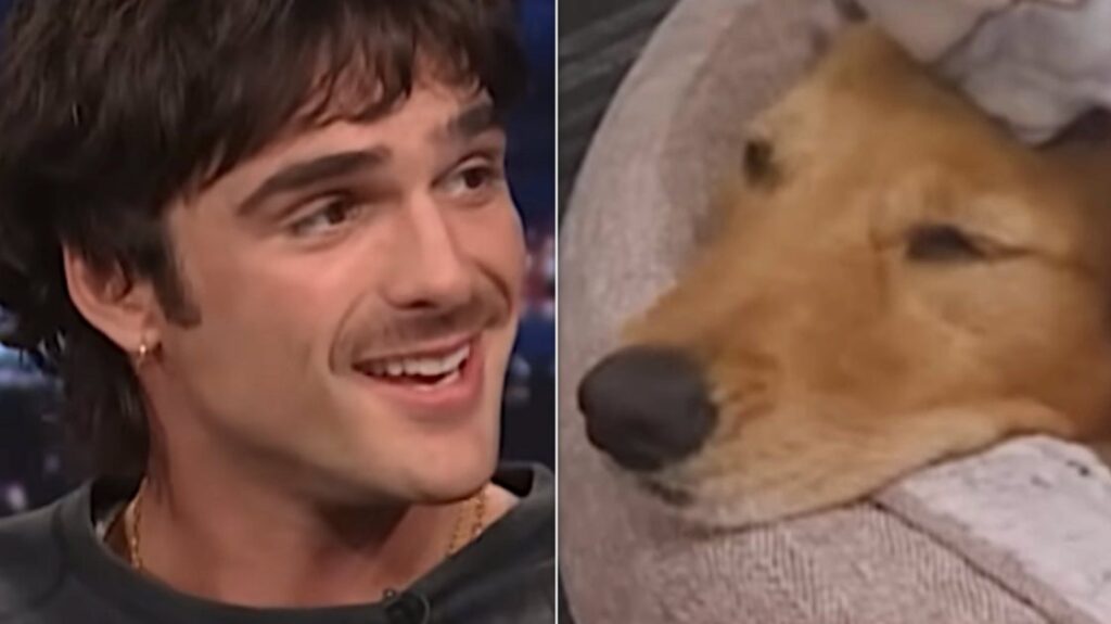 Jacob Elordi Looks Monstrously Cute In Full ‘Frankenstein’ Makeup With His Dog Jacob Elordi Looks Monstrously Cute In Full 'Frankenstein' Makeup With His Dog