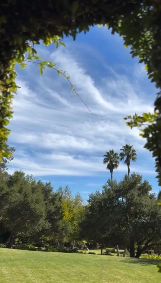Meghan, Duchess of Sussex/Instagram Meghan Markle posts video from her backyard in Montecito, Calif.