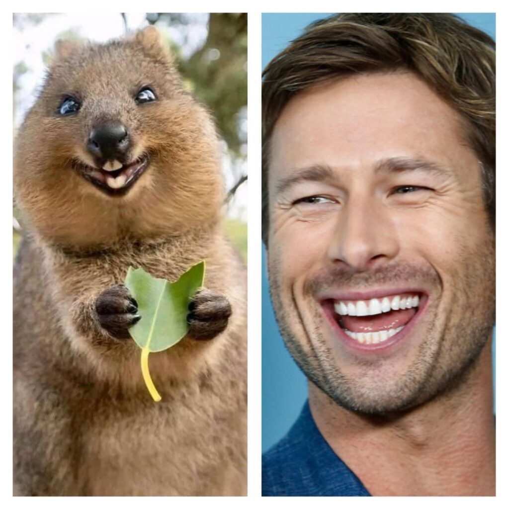 Which celebrity/animal lookalike is your favorite? Which celebrity/animal lookalike is your favorite?