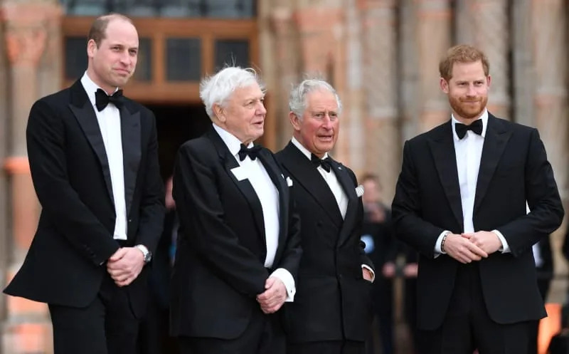 James Whatling / MEGA