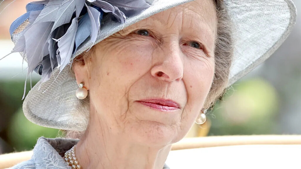 Royal Expert Makes Bold Claim About Princess Anne Yahoo entertainment home