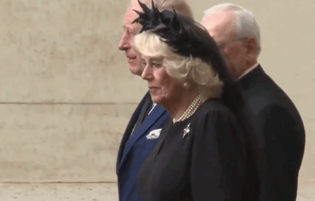 Queen Camilla wore a black veil to meet the Pope Queen Camilla wore a black veil to meet the Pope