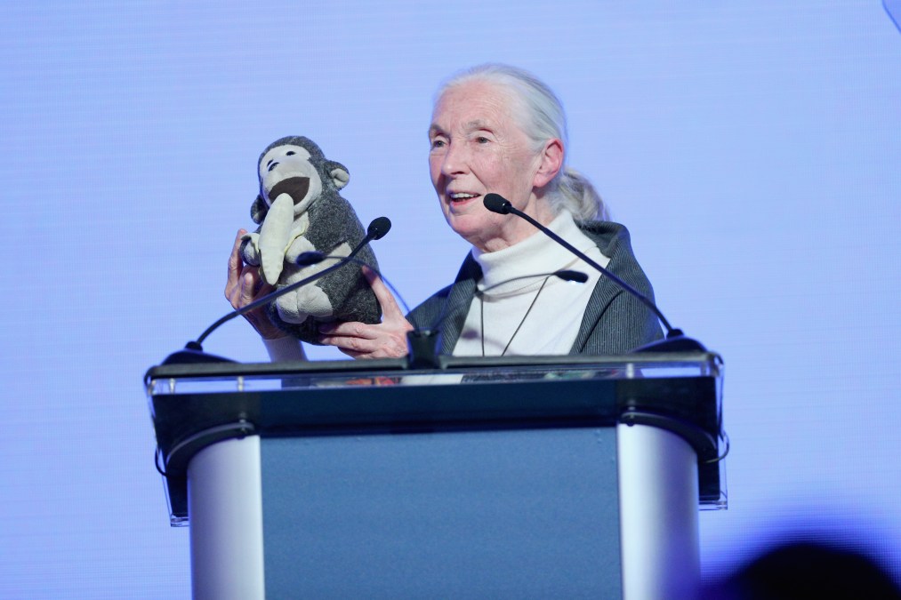 Jane Goodall speaks onstage at the Leonardo DiCaprio Foundation Gala