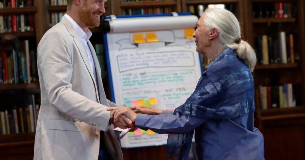 Prince Harry and Meghan Markle Pay Tribute to Jane Goodall