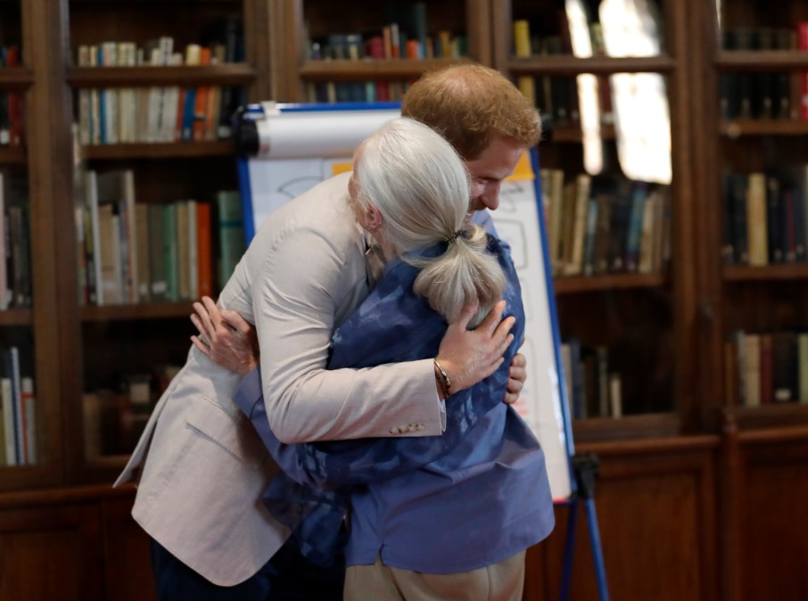 Prince Harry, Duke of Sussex and Dr Jane Goodall 