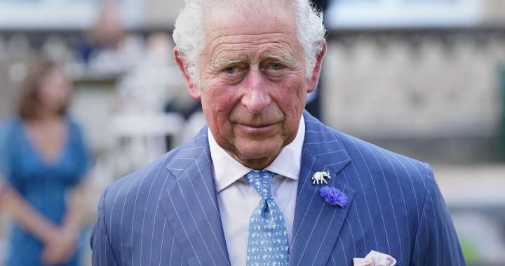 A royal revival? Canadians warming to the monarchy again, Ipsos poll finds – National A royal revival? Canadians warming to the monarchy again, Ipsos poll finds - National