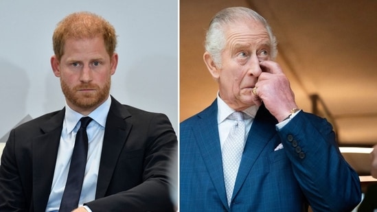 Prince Harry’s new security plea puts fresh strain on fragile ties with King Charles: Reports((AP/PTI, James Manning/Pool via REUTERS))