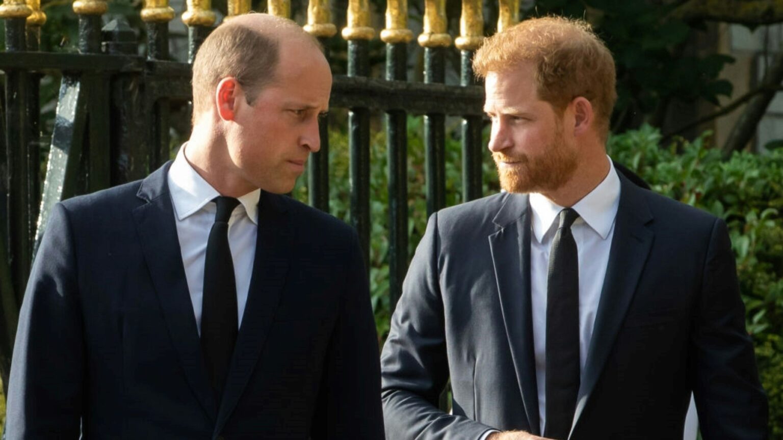 Prince William to meet Prince Harry if he follows this rule Prince William to meet Prince Harry if he follows this rule