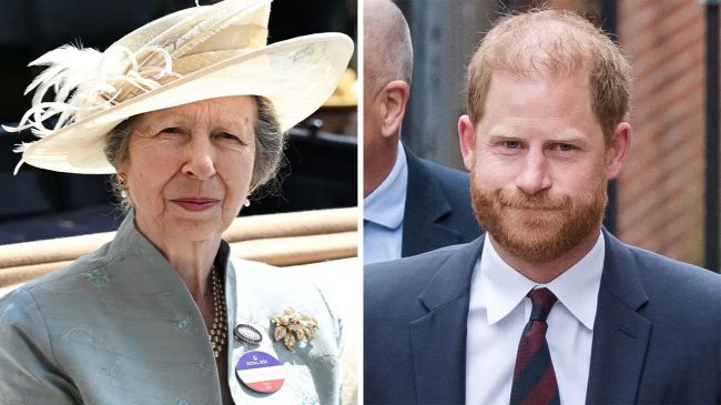 Why Did Princess Anne Go to Ukraine After Harry?