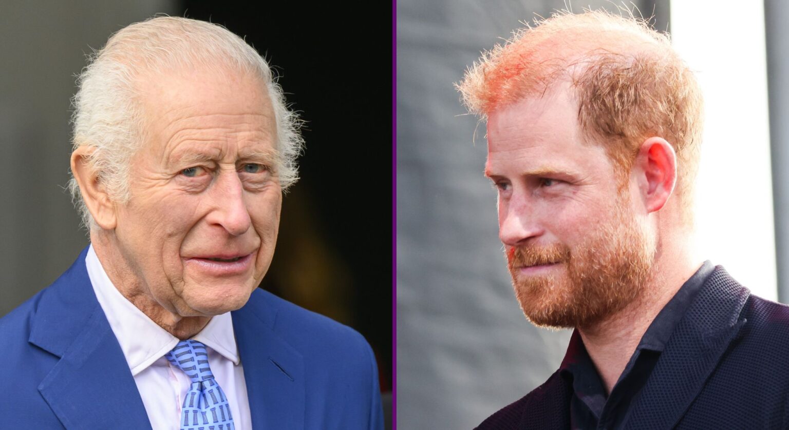 Princess Diana's hairdresser speaks out on King Charles and Prince Harry paternity rumours
