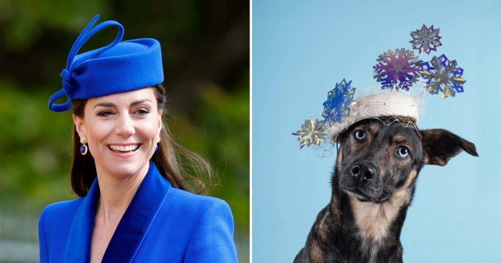 Kate Middleton Milliner Drops 2026 Calendar of Dogs in Hats Kate Middleton Milliner Drops 2026 Calendar of Dogs in Hats