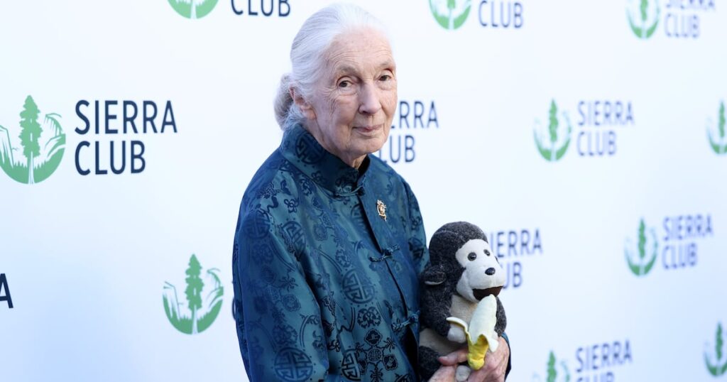 Leonardo DiCaprio Reveals His Last Message to Jane Goodall