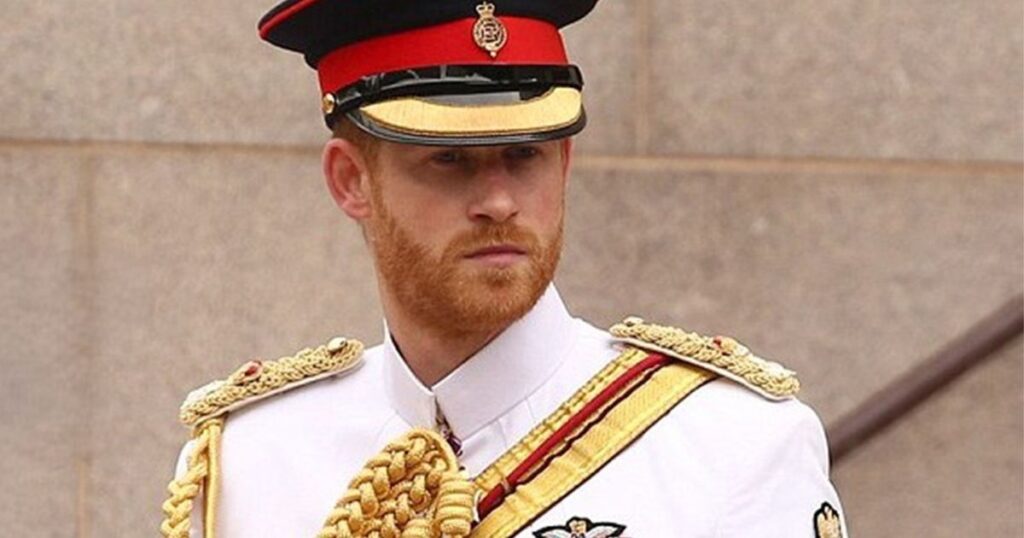 Prince Harry critique