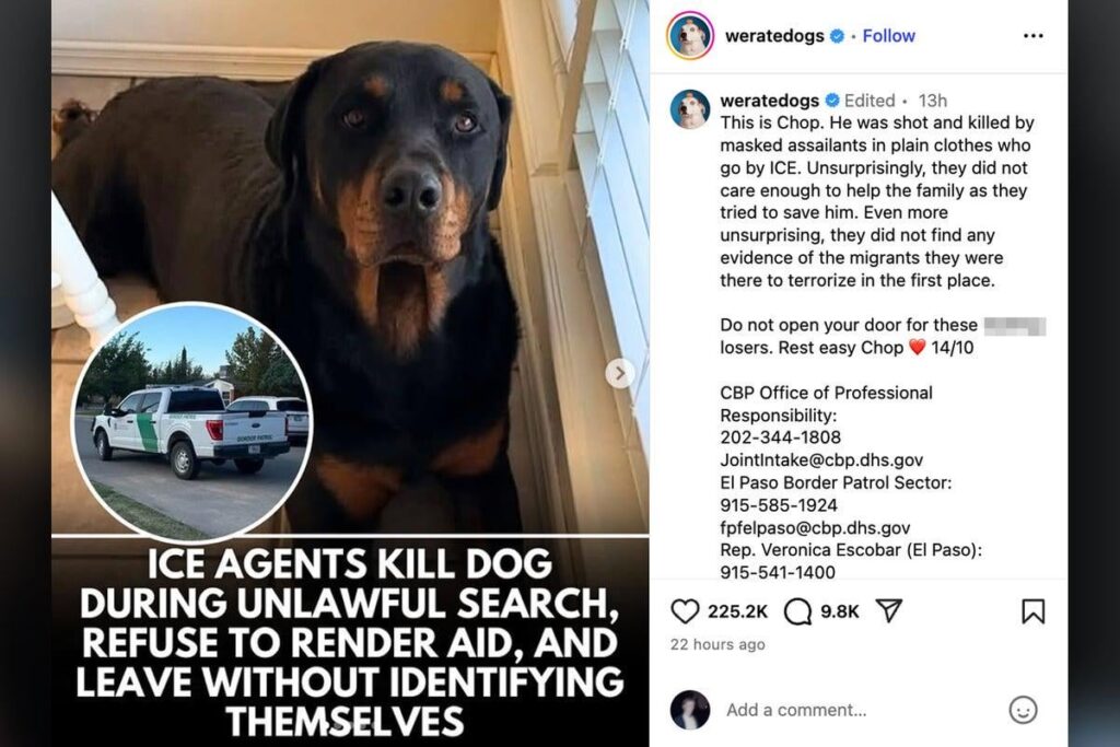 WeRateDogs breaks from wholesome content to tear into border agents after pet dog is shot dead: ‘’Do not open your doors’