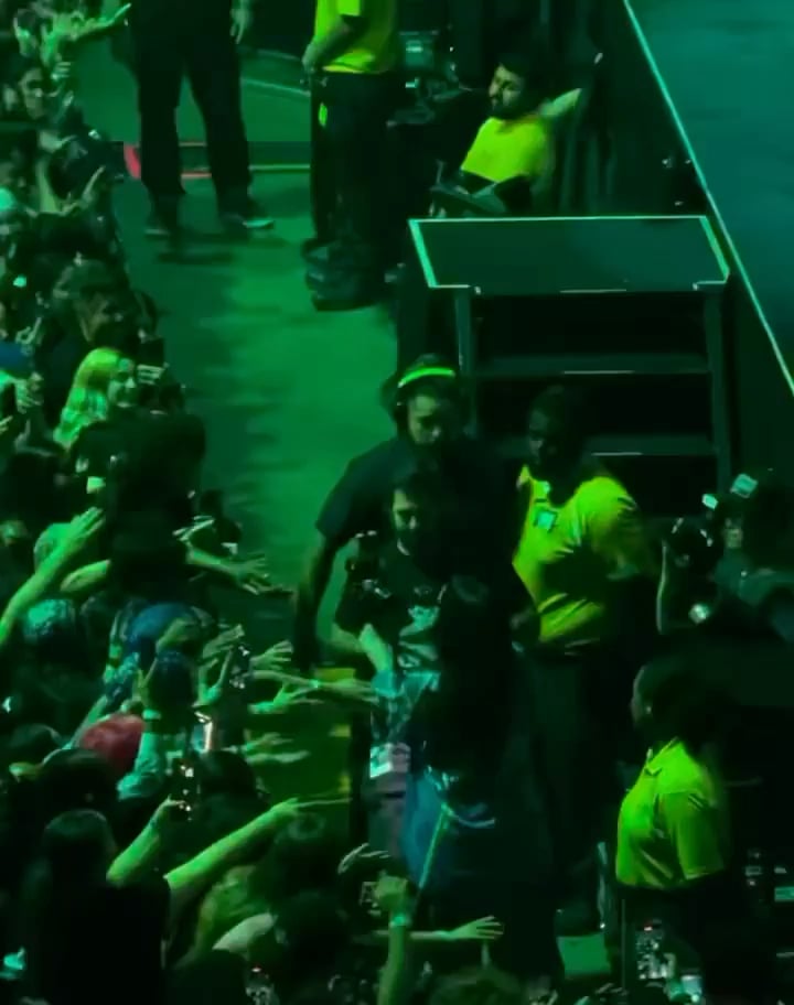 Billie Eilish was grabbed and pulled by a man during the barricade walk at her Miami concert (October 9, 2025).