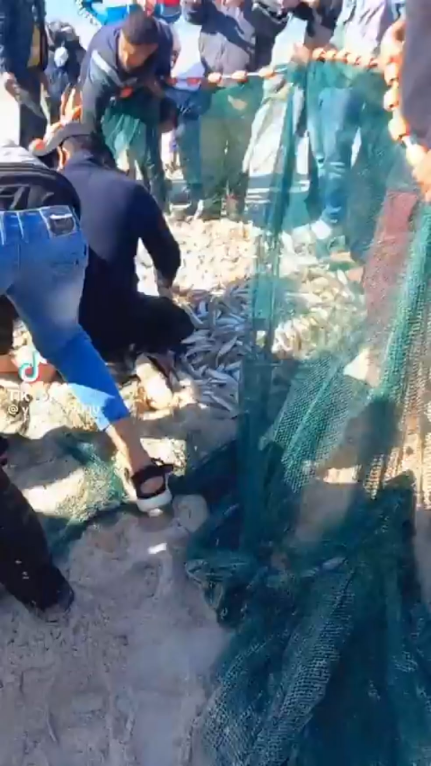 Abduction of Activists on the flotilla distracted the IDF Navy which gave Palestinians a chance to fish.