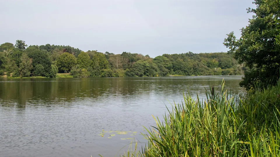 A view of Virginia Water Lake, Part of Windsor Great Park and the Crown Estate