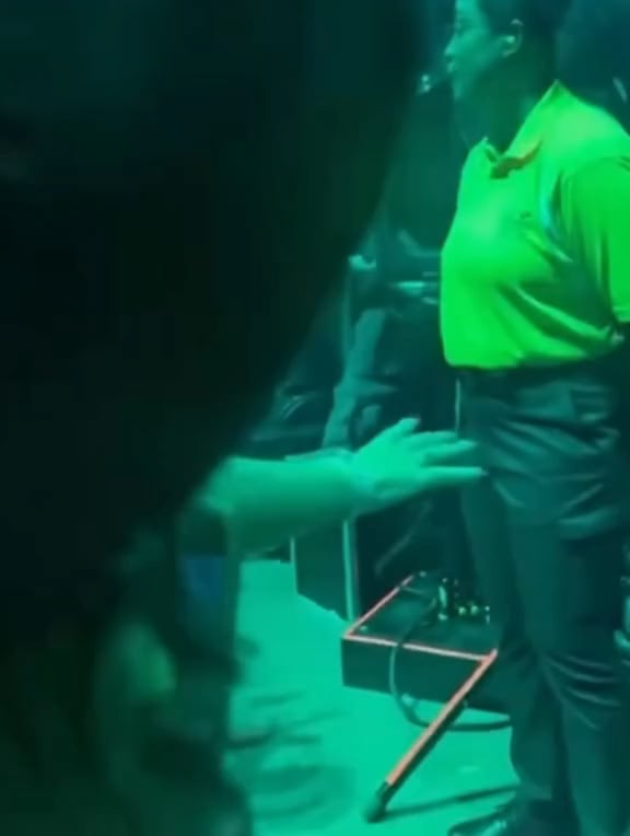 A closer look at Billie Eilish getting aggressively pulled by a concertgoer